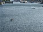 Sweden 2007-08 007